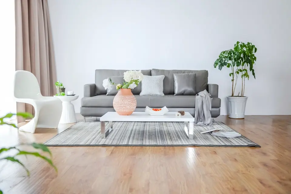 A sparse, bright living room with a grey sofa, a low white table and potted plants