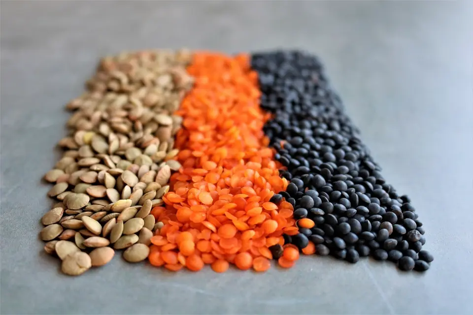 Brown, red and black lentils laid out in three stripes on a grey surface